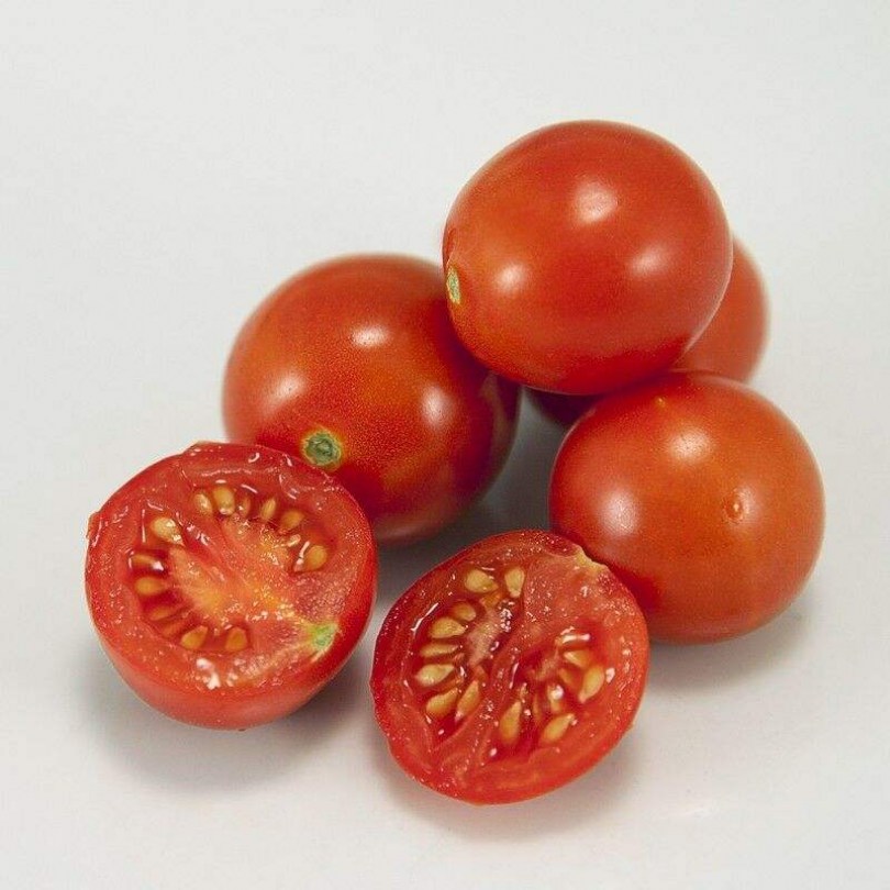 Cherry Chadwick paradicsom - Paradicsom különlegességek az Egzotikus Növények Stúdiója kínálatából